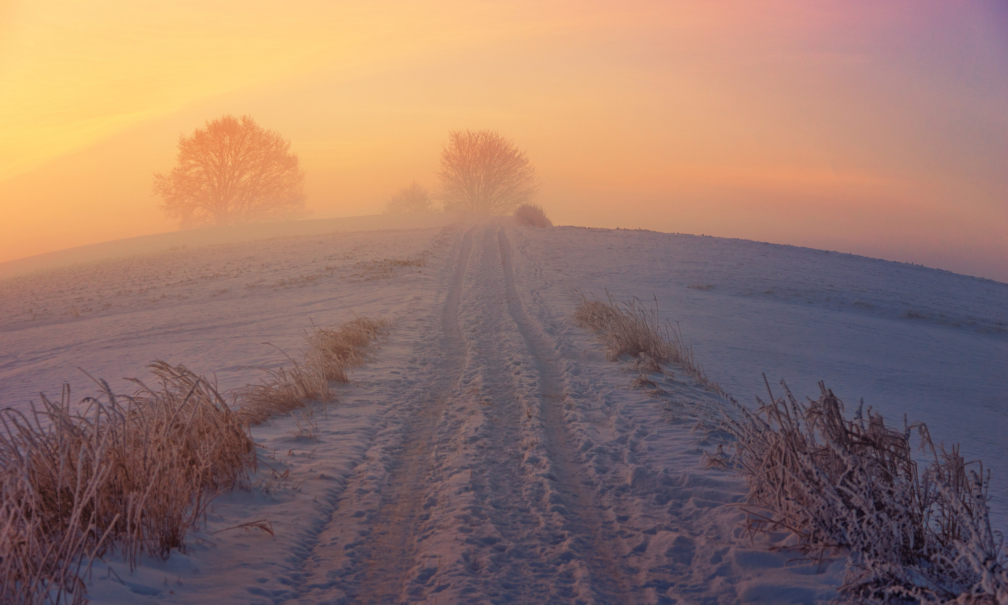 Ein verschneiter Feldweg im Sonnenaufgang, Fotograf: jplenio, pixabay.com